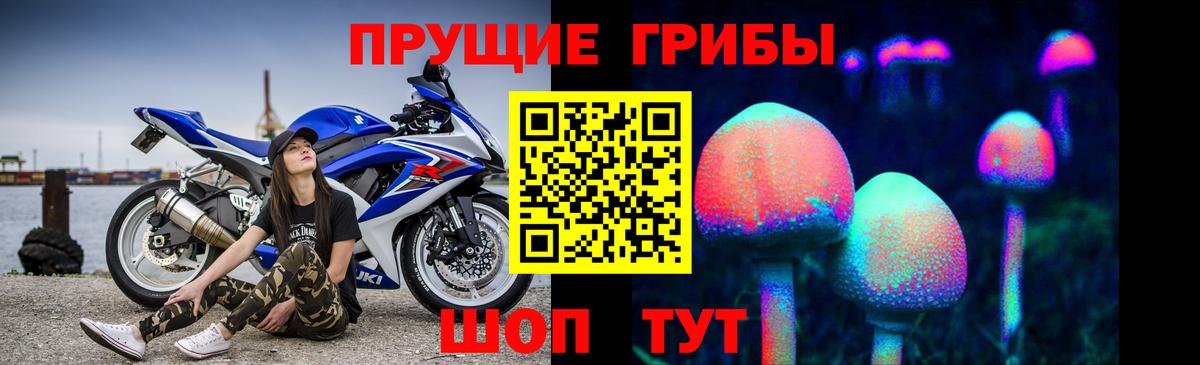 Псилоцибиновые грибы мухоморы Каменск-Шахтинский